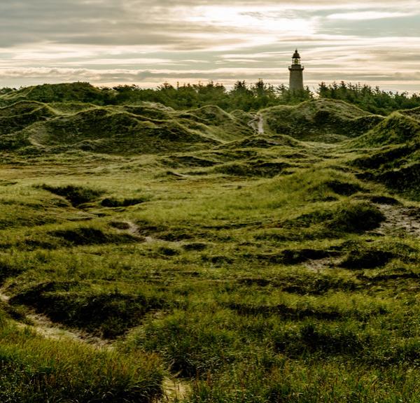 Nationaal Park Thy in Noord-Jutland