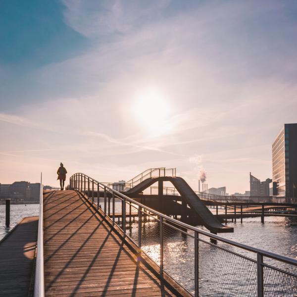 Havnen i København er ren nok til at man kan svømme i den