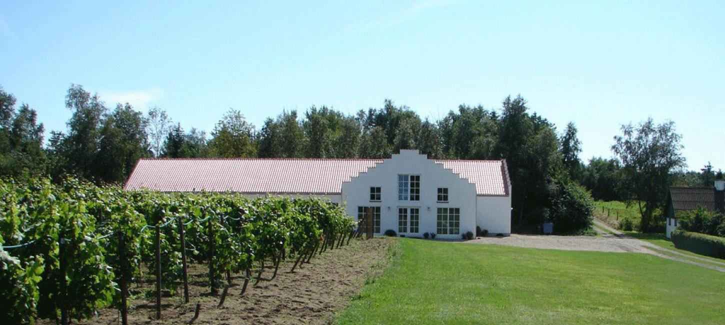 Weingut Heden Vingård bei Aalborg im dänischen Nordjütland