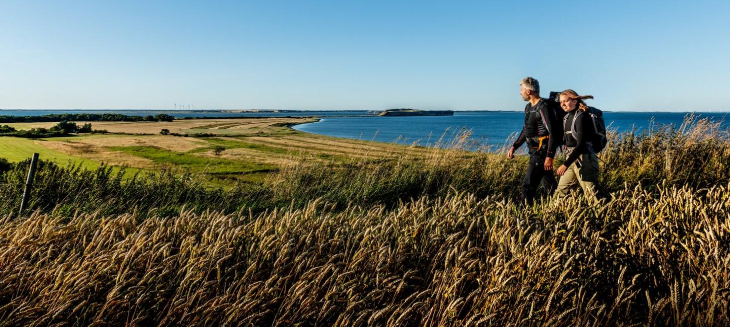 Paar wandert in Moors, im Hintergrund sieht man das Meer, Dänemark