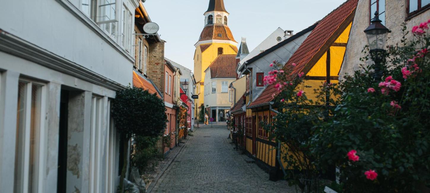 Brosteinsgate med fargerike hus, stokkroser og roser i Faaborg