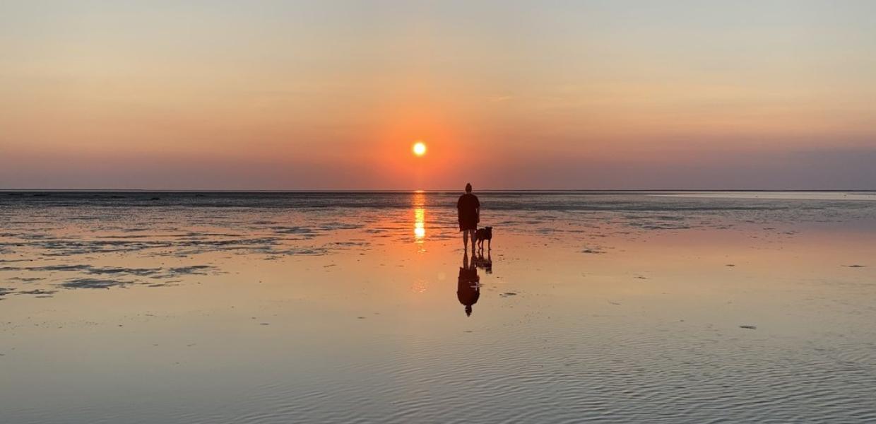 En dame går tur med sin hund ved Vadehavet nasjonalpark i solnedgang