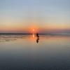 En dame går tur med sin hund ved Vadehavet nasjonalpark i solnedgang