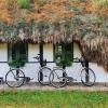 Tanghaus auf der Insel Laeso in Dänemark