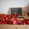 Local Danish produce Strawberries in farm shop in North Zealand, Denmark