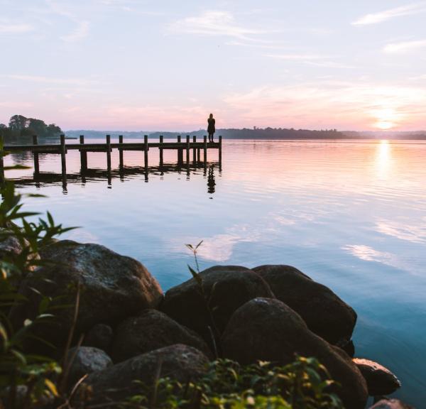 Person nyter soloppgangen ved Esrum innsjø, Kongernes Nordsjælland nasjonalpark, Danmark