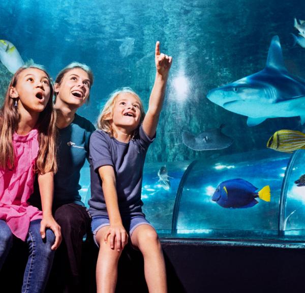 A family enjoying the Kattegat Centre aquarium
