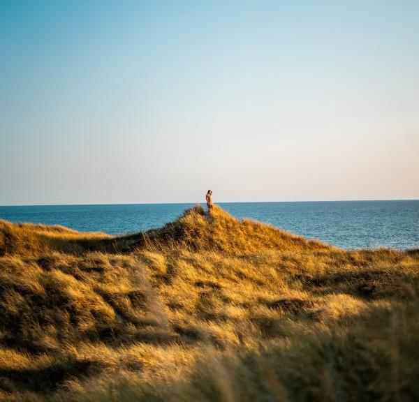 Person looking at the sea from the sand dunes on Søndervig beach, Vesterhavet