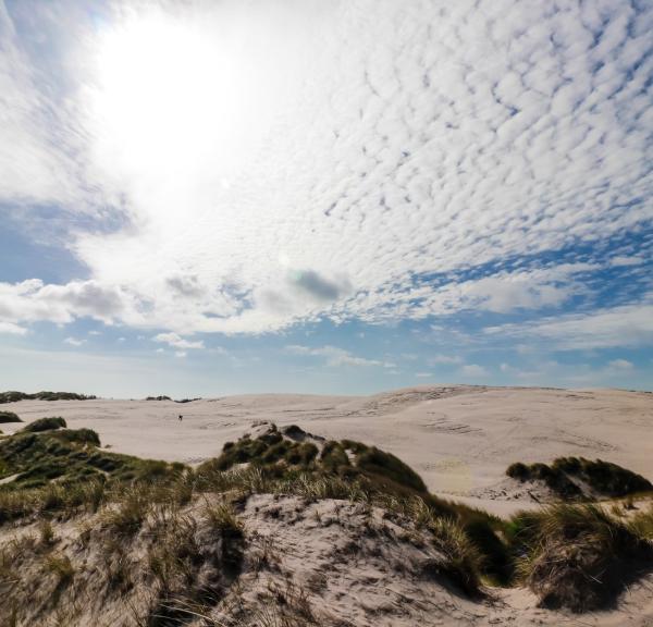 Råbjerg Mile in North Jutland