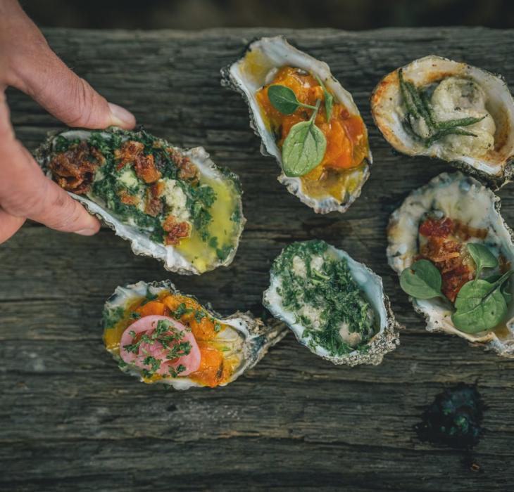 Oysters from oyster safari on Vadehavscentret